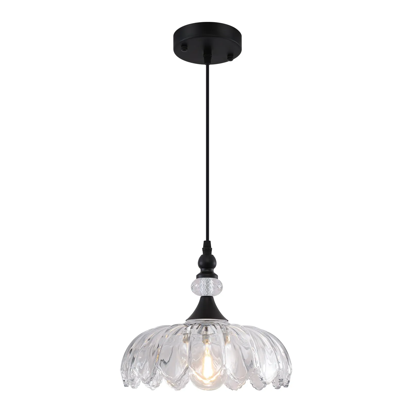 Matte Black Vintage Pendant Light with Glass Shade