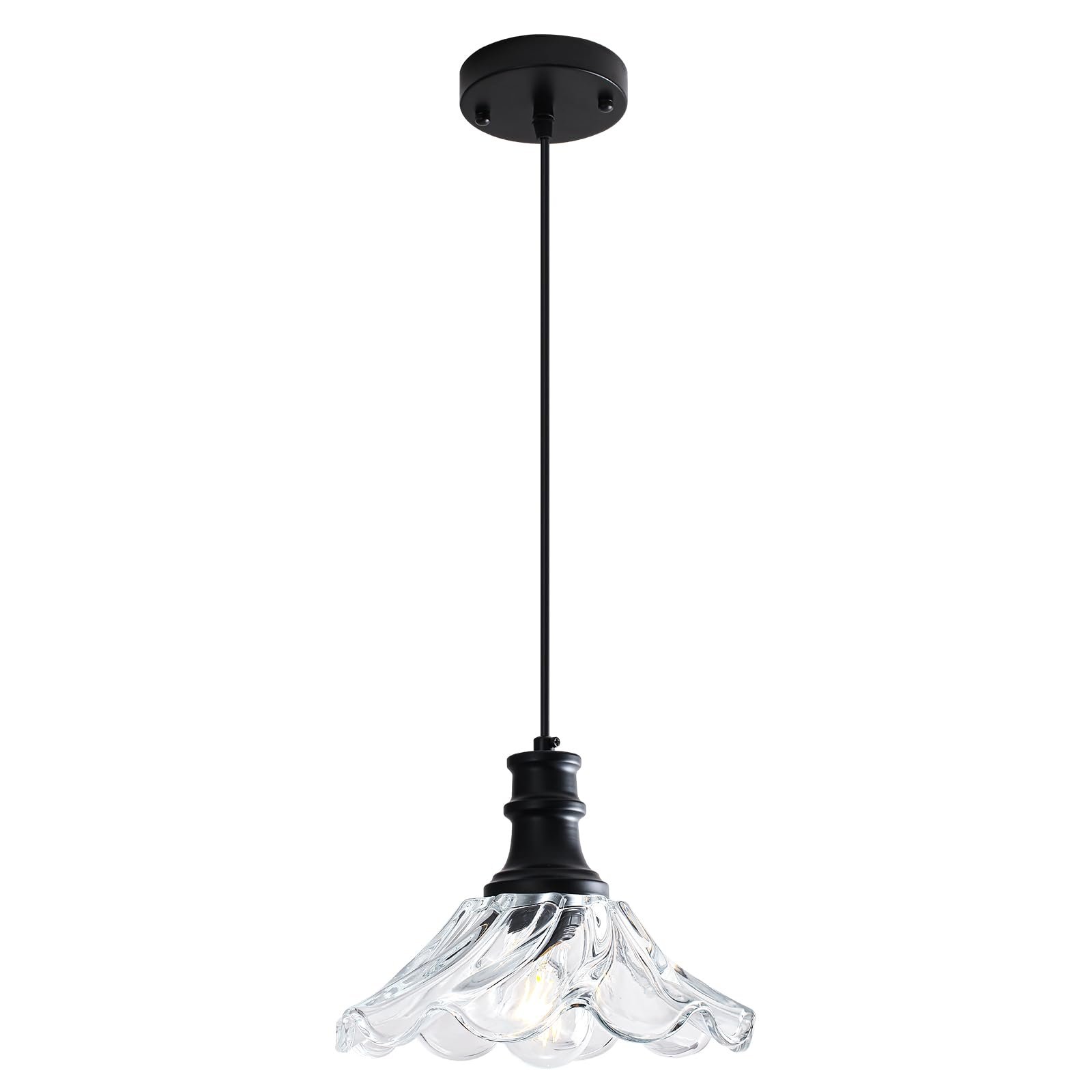 Black Modern Farmhouse Pendant Light with Clear Glass