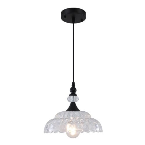 Farmhouse Black Pendant Light with Glass Shade