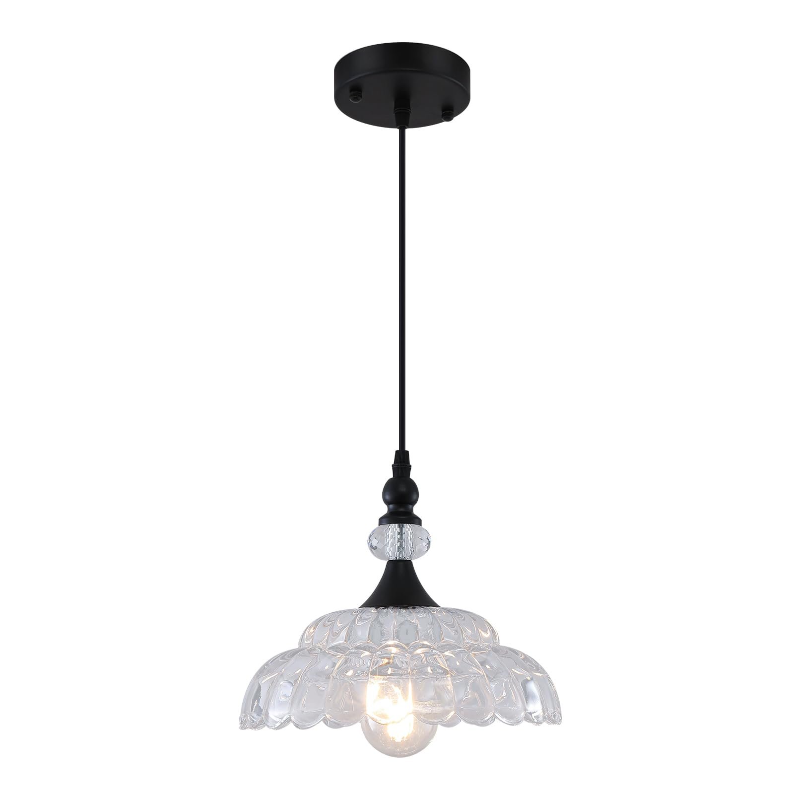 Farmhouse Black Pendant Light with Glass Shade