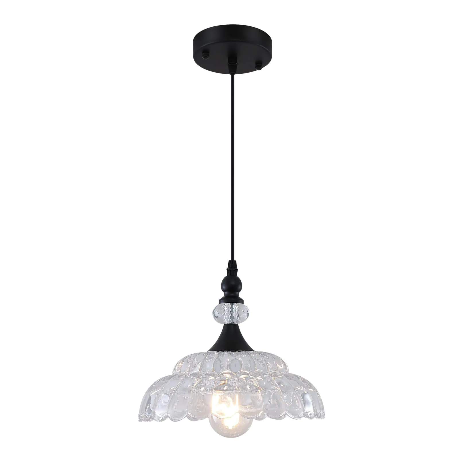 Farmhouse Black Pendant Light with Glass Shade