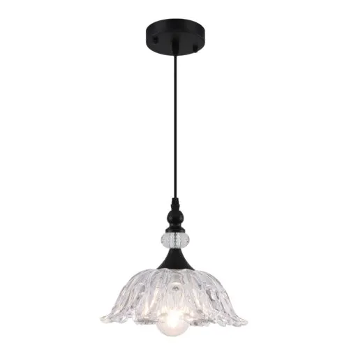 Vintage Black Pendant Light with Glass Shade