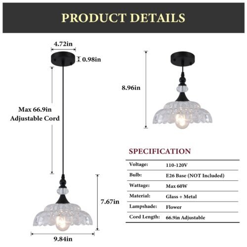 Farmhouse Black Pendant Light with Glass Shade